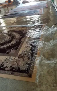 قالیشویی فرش قرمز56160010