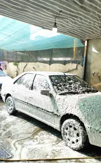 دربست تهران حرکت امشب