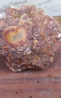 گوهر سنگ قیمتی معاوضه با ماهی مولی و گوپی