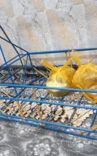 گهواره اهنی