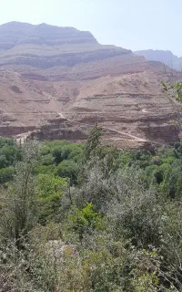 زوعلیا حرکت جمعه فقط ۲۸۰۰۰۰ ت