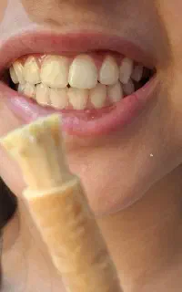 چوب مسواک طبیعی.بدون مواد شیمیایی.تعداد محدود