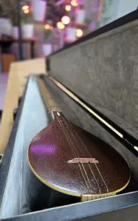 سه تار استاد محمود صادق محمدی