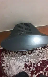 تلویزیون