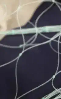 تور شیر قبادی