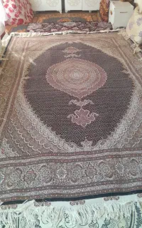 ناصرقاسمی