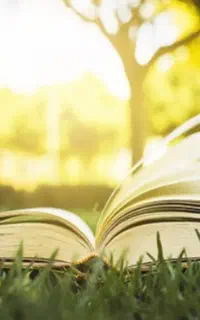 راهکارهای سنتی برای بهبود شرایط زندگی
