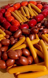 آموزش مجازی سوسیس  کالباس خانگی