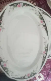 دیس ها هرکدوم ۵۰۰ نو