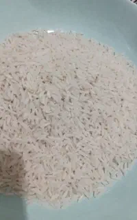 فروش برنج