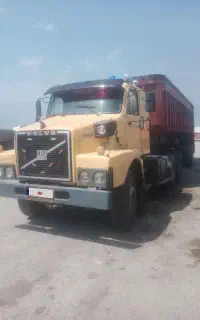 ولوو کشنده