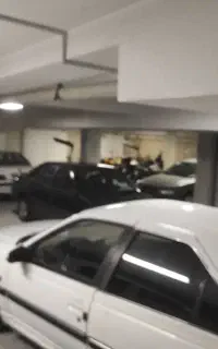 راننده با خودرو برای ارگان دولتی