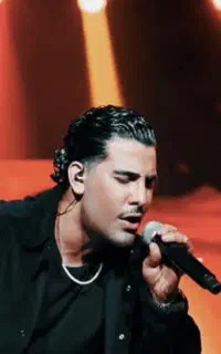 ۴ عدد بلیط کنسرت