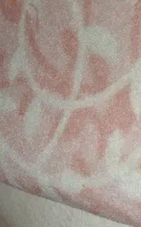 موکت نو
