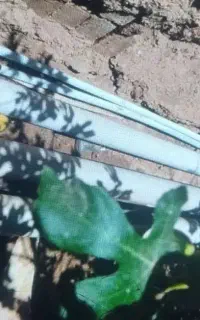 لوله ساختمان نو
