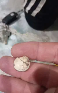 مهره گبری ساسانی سه پوست