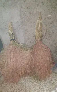 جارو محلی امسالی