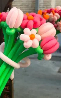 گل بادکنکی
