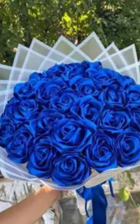 گل ربانی قیمت به صرفه