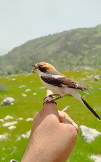 جویای کار اموزشی و اینده دار