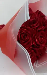 سوپرایز تولد و دیگر مراسمات همراه موسیقی زنده