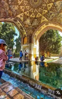 جذب گروه  بانوان وخانوادها