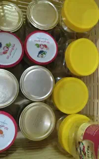 ظرف نگهدارنده