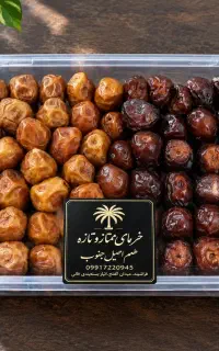 خرمای مخلوط تازه و اعلای جنوب (بسته ۴۰۰ گرمی)