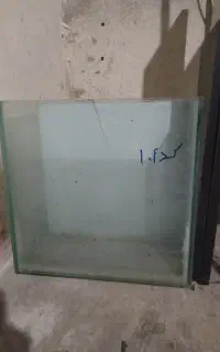 آکواریوم حراجی