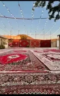 فرش وچمن اجاره ای و صندلی زیر قیمت همه جا