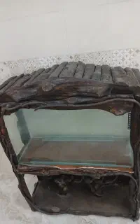 اکواریوم