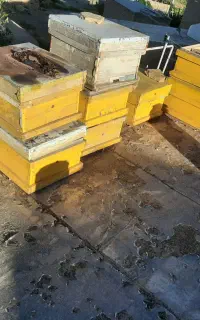 جعبه خالی،