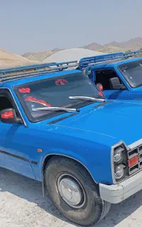 کود گوسفندی و گاوی