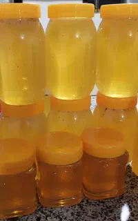 عسل کوهستان بوندر