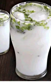 دوغ گوسفندی