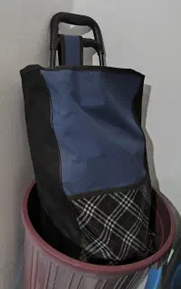 چرخ دستی خرید