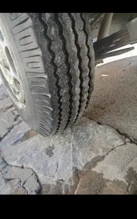 ۲۴ ماهه