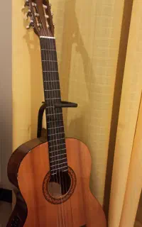 گیتار c40