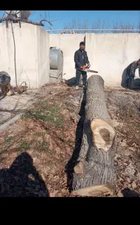 سلام