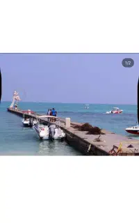 تور تفریحی بانوان