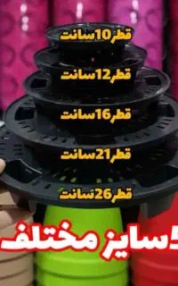 زهکش، جزیره، زیر گلدانی بابا آدم، گل و گیاه.