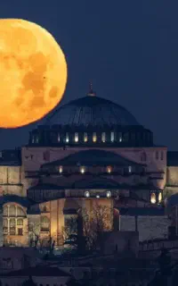 مستقیم وان و استانبول و آنتالیا بلیط تک //