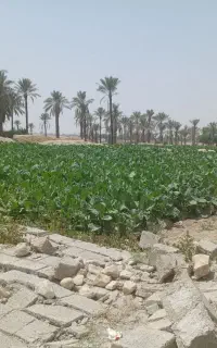 مشارکت در ساخت