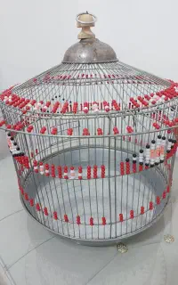 قفس طرقه