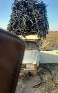 خرید نوار تیپ