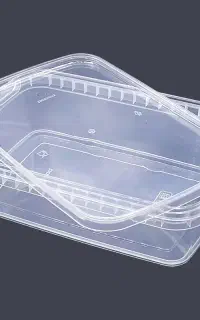 ظرف فریزری