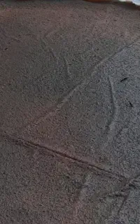 لواشک هلو خانگی درجه یک