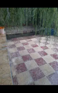 باغ اجاره ای،سیدان