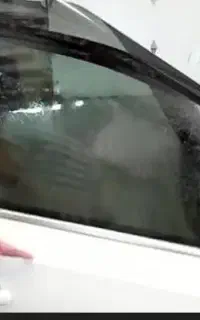 دودی ضد خش امریکایی