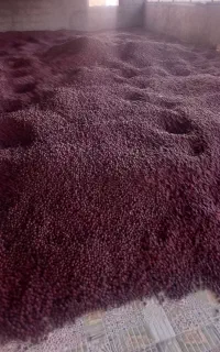 عطاری روستا